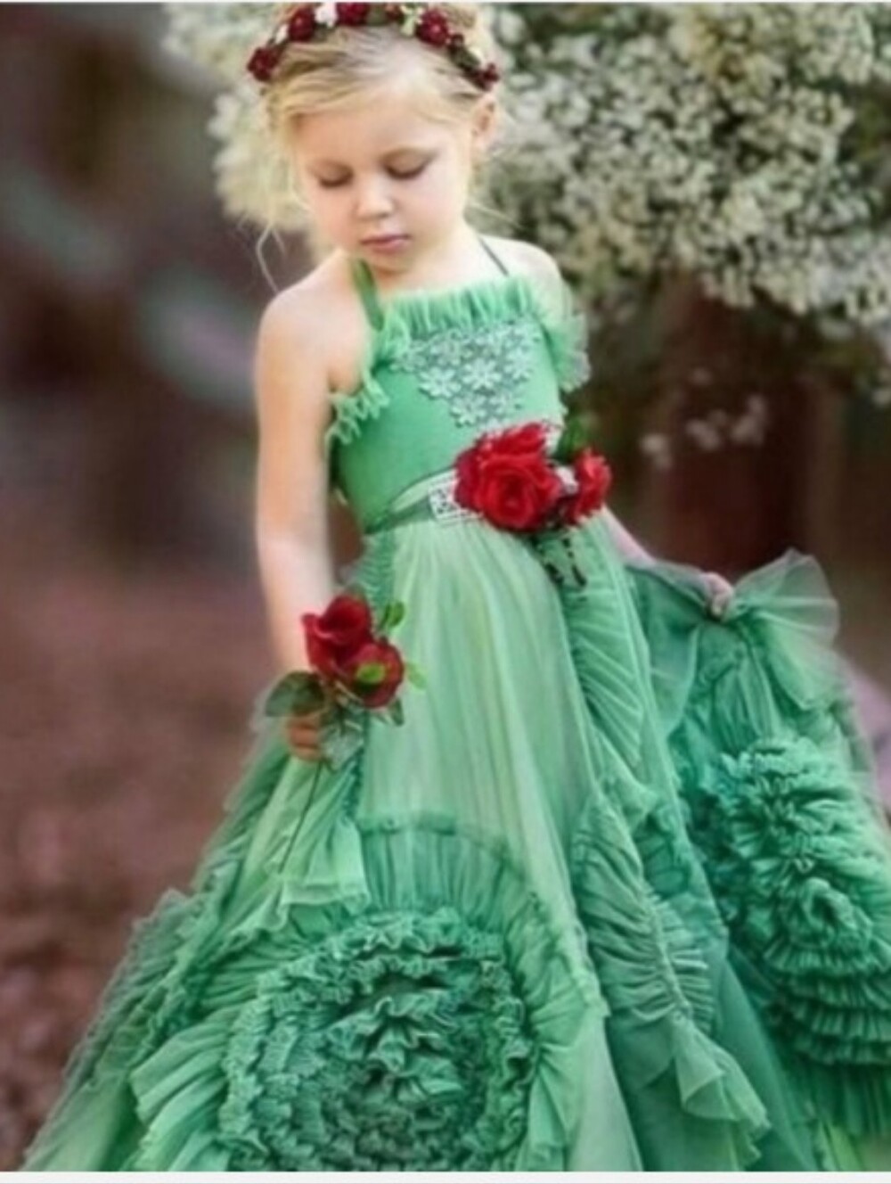 Dollcake Green Tulle Formal Dress does not include  Red Rose Accents